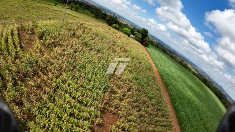 Fazenda à Venda, 52.600 m² em Gleba N 2 Da Colônia Cielito - Santa Teresa Do Oeste