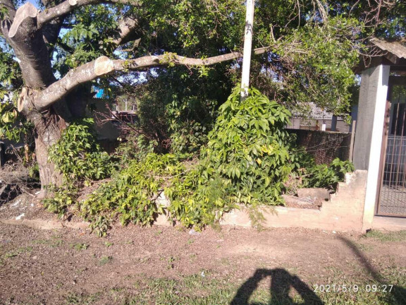 Imagem Terreno à Venda, 300 m² em Arroio Da Manteiga - São Leopoldo Imagem Terreno à Venda, 300 m² em Arroio Da Manteiga - São Leopoldo