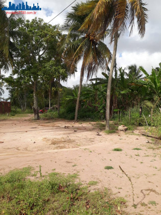 Imagem Chácara à Venda, 4 m² em Guajirú - São Gonçalo Do Amarante Imagem Chácara à Venda, 4 m² em Guajirú - São Gonçalo Do Amarante
