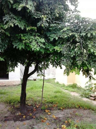 Imagem Casa com 3 Quartos à Venda, 190 m² em Janga - Paulista Imagem Casa com 3 Quartos à Venda, 190 m² em Janga - Paulista