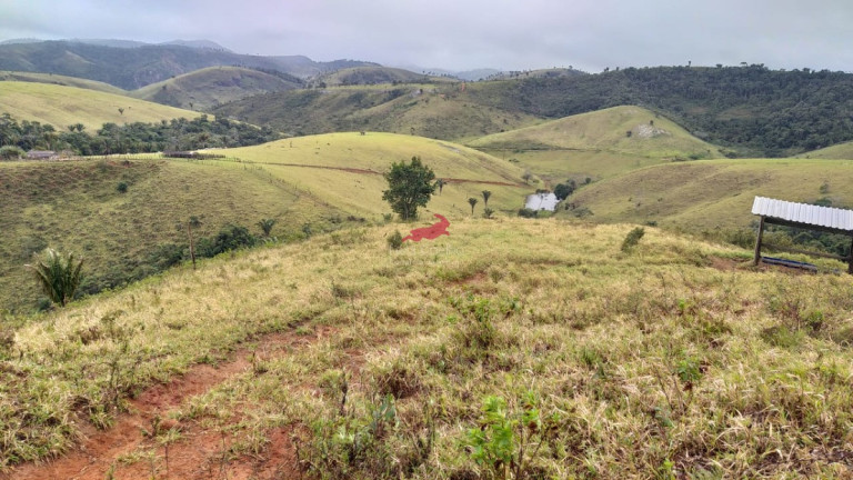 Imagem Fazenda à Venda, 968 m² em Centro - Palmópolis