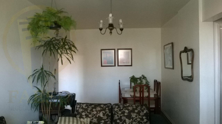Imagem Apartamento com 3 Quartos à Venda, 70 m² em Alto De Santana - São Paulo Imagem Apartamento com 3 Quartos à Venda, 70 m² em Alto De Santana - São Paulo
