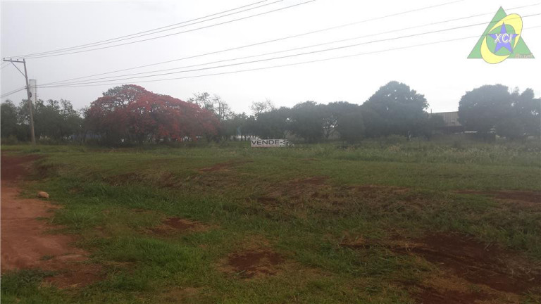 Imagem Imóvel à Venda ou Locação, 58.600 m² em Betel - Paulínia Imagem Imóvel à Venda ou Locação, 58.600 m² em Betel - Paulínia
