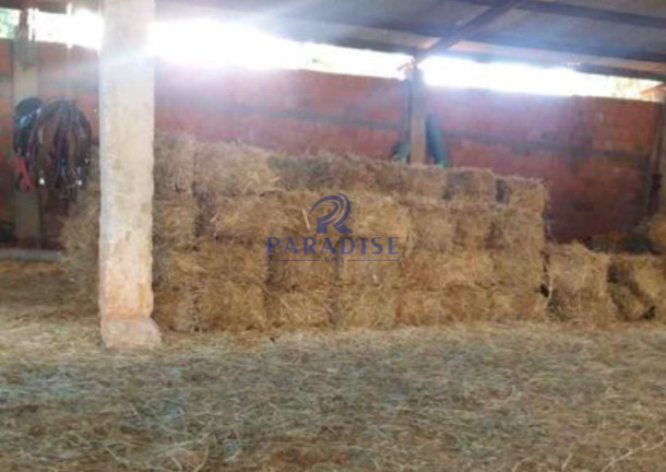Imagem Fazenda à Venda, 2.350.000 m² em Zona Rural - Morro Do Chapéu Imagem Fazenda à Venda, 2.350.000 m² em Zona Rural - Morro Do Chapéu