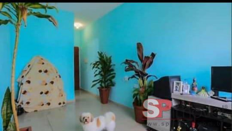 Imagem Apartamento com 2 Quartos à Venda, 47 m² em Vila Santa Teresa - São Paulo Imagem Apartamento com 2 Quartos à Venda, 47 m² em Vila Santa Teresa - São Paulo