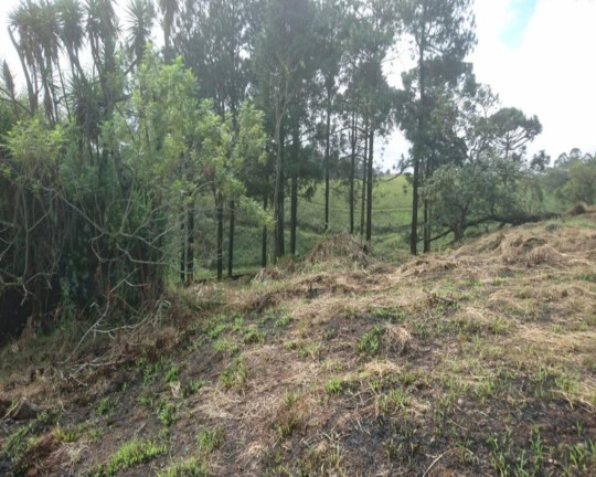 Imagem Terreno à Venda, 12.750 m² em Potuverá - Itapecerica Da Serra Imagem Terreno à Venda, 12.750 m² em Potuverá - Itapecerica Da Serra