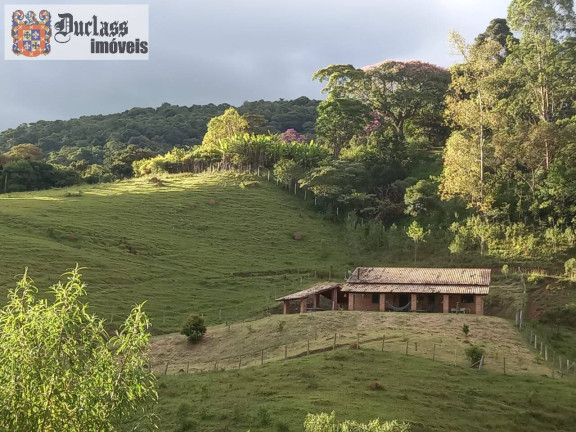 Foto do imóvel Chácara com 3 Quartos à Venda, 41.000 m² em Bairro Do Azevedo - Joanópolis