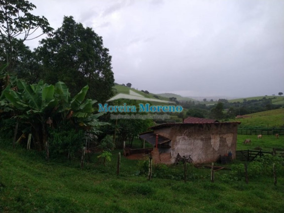 Imagem Imóvel com 1 Quarto à Venda, 11 m² em Zona Rural - Borda Da Mata