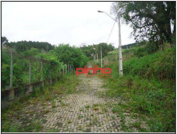 Imagem Terreno à Venda, 8 m² em Fundo Canoas - Rio Do Sul Imagem Terreno à Venda, 8 m² em Fundo Canoas - Rio Do Sul
