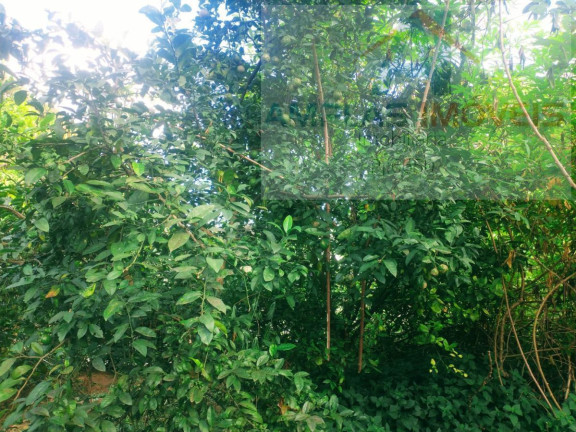 Imagem Chácara com 3 Quartos à Venda, 7.750 m² em Serra Azul. Imagem Chácara com 3 Quartos à Venda, 7.750 m² em Serra Azul.