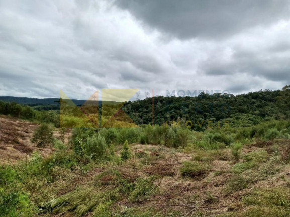 Imagem Fazenda à Venda, 64.288 m² em Barra Avencal - Rio Dos Cedros Imagem Fazenda à Venda, 64.288 m² em Barra Avencal - Rio Dos Cedros