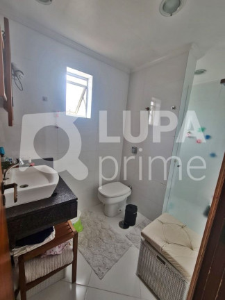 Imagem Apartamento com 3 Quartos à Venda, 78 m² em Vila Ede - São Paulo Imagem Apartamento com 3 Quartos à Venda, 78 m² em Vila Ede - São Paulo
