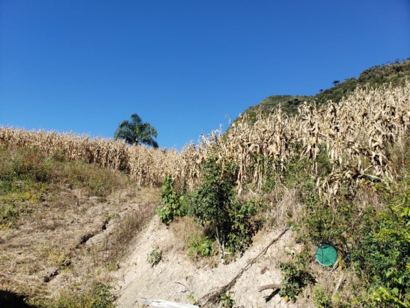 Imagem Imóvel à Venda,  em Zona Rural - Alfredo Wagner