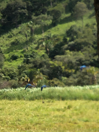 Imagem Fazenda à Venda, 6.050.000 m² em Zona Rural - Cocalzinho De Goiás Imagem Fazenda à Venda, 6.050.000 m² em Zona Rural - Cocalzinho De Goiás