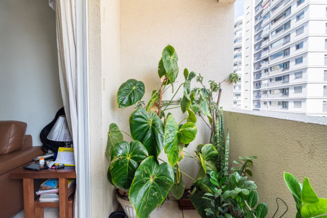Imagem Apartamento com 2 Quartos à Venda, 63 m² em Vila Guarani (z Sul) - São Paulo
