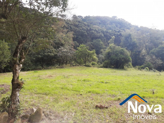Imagem Imóvel à Venda, 120.000 m² em Linha Pirajá Baixa - Nova Petrópolis Imagem Imóvel à Venda, 120.000 m² em Linha Pirajá Baixa - Nova Petrópolis