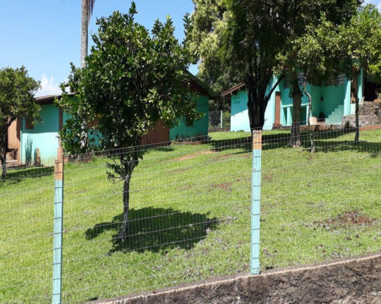 Imagem Imóvel com 3 Quartos à Venda,  em Linha Olinda - Nova Petrópolis
