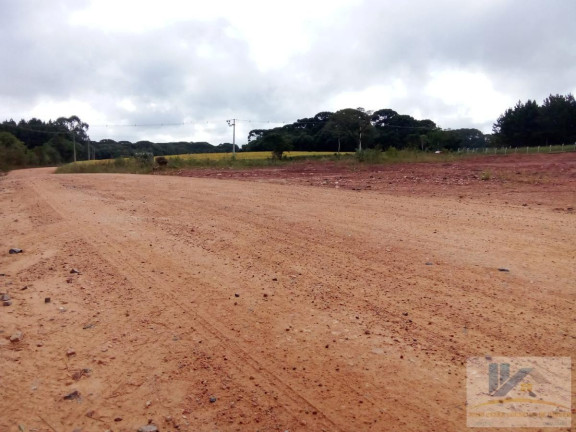 Imagem Terreno à Venda, 4.411 m² em Campo Largo Da Roseira - São José Dos Pinhais Imagem Terreno à Venda, 4.411 m² em Campo Largo Da Roseira - São José Dos Pinhais