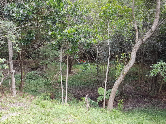 Imagem Terreno à Venda, 76.230 m² em São João Do Rio Vermelho - Florianópolis Imagem Terreno à Venda, 76.230 m² em São João Do Rio Vermelho - Florianópolis