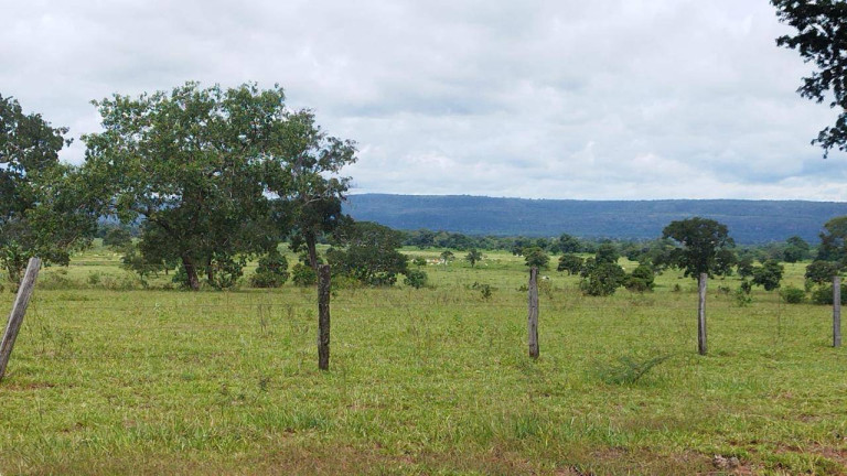 Imagem Fazenda à Venda,  em Rondonópolis