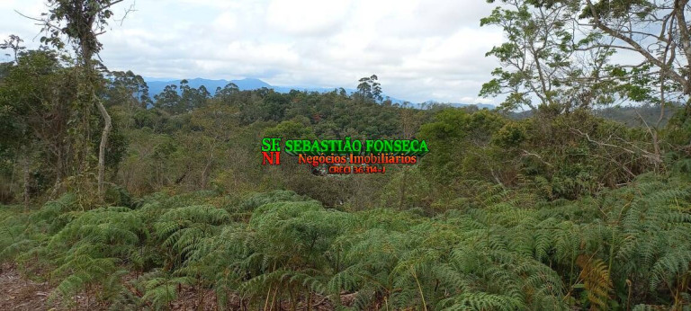 Imagem Chácara à Venda, 20.000 m² em Centro - Monteiro Lobato Imagem Chácara à Venda, 20.000 m² em Centro - Monteiro Lobato