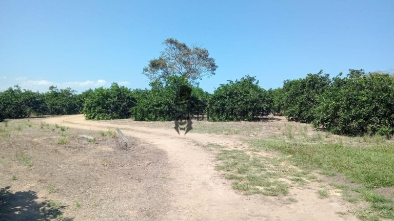 Imagem Fazenda à Venda, 555.000 m² em Sao Vicente - Araruama Imagem Fazenda à Venda, 555.000 m² em Sao Vicente - Araruama