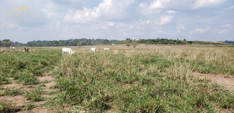Imagem Imóvel com 5 Quartos à Venda, 4.017.000 m² em Zona Rural