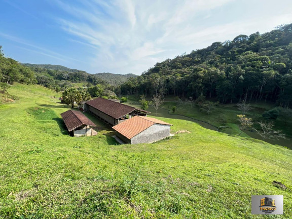 Imagem Imóvel com 7 Quartos à Venda, 242.000 m² em Pocinho - São Lourenço Da Serra