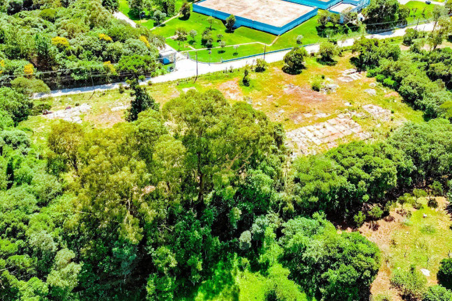 Imagem Terreno à Venda, 10.000 m² em São Miguel - Curitiba Imagem Terreno à Venda, 10.000 m² em São Miguel - Curitiba