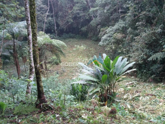Imagem Terreno à Venda, 2.947 m² em Fazenda Inglesa - Petrópolis Imagem Terreno à Venda, 2.947 m² em Fazenda Inglesa - Petrópolis
