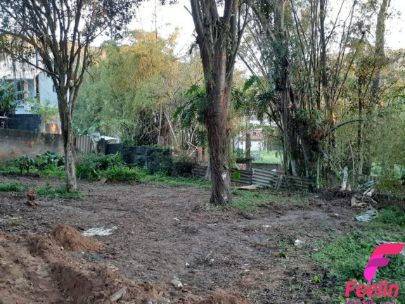 Imagem Terreno à Venda, 1.680 m² em Rio Tavares - Florianópolis Imagem Terreno à Venda, 1.680 m² em Rio Tavares - Florianópolis