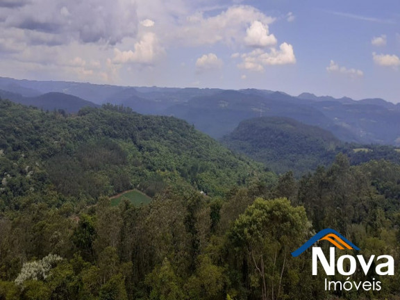 Imagem Imóvel à Venda,  em Linha Olinda - Nova Petrópolis