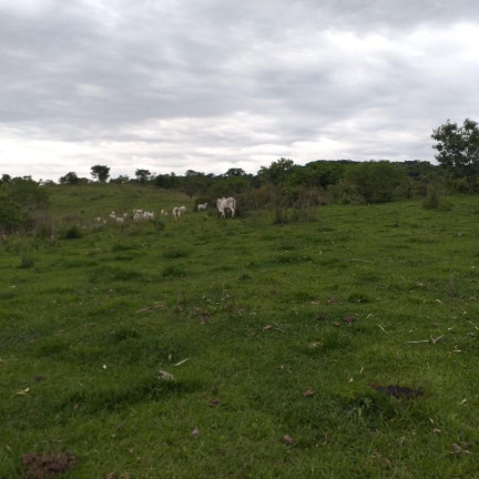Imagem Fazenda à Venda, 179 m² em Rural - Garça Imagem Fazenda à Venda, 179 m² em Rural - Garça