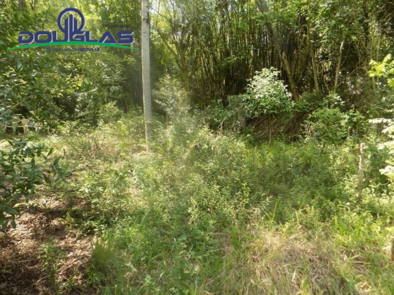 Imagem Imóvel Comercial à Venda, em Viamão Imagem Imóvel Comercial à Venda, em Viamão