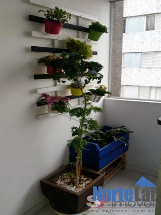 Imagem Apartamento com 2 Quartos à Venda, 67 m² em Vila Medeiros - São Paulo