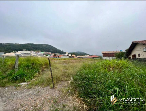 Imagem Terreno à Venda, 504 m² em Sertão Do Maruim - São José Imagem Terreno à Venda, 504 m² em Sertão Do Maruim - São José