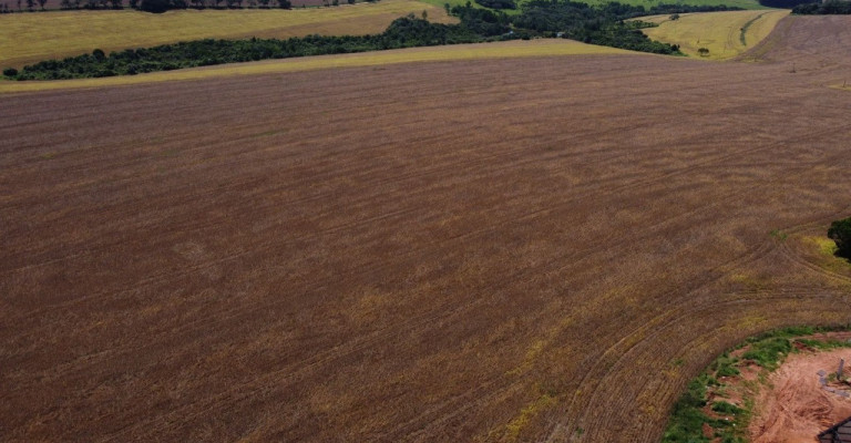 Imagem Chácara à Venda, em Zona Rural - Aparecida Do Taboado Imagem Chácara à Venda, em Zona Rural - Aparecida Do Taboado