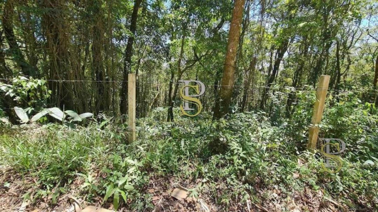 Imagem Terreno à Venda, 1.000 m² em Mato Dentro - Mairiporã Imagem Terreno à Venda, 1.000 m² em Mato Dentro - Mairiporã