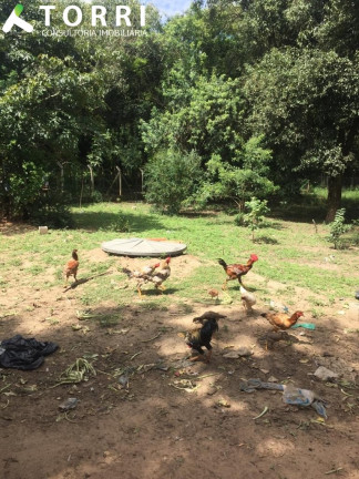 Imagem Imóvel com 4 Quartos à Venda, 250 m² em Monte Libano - Araçoiaba Da Serra Imagem Imóvel com 4 Quartos à Venda, 250 m² em Monte Libano - Araçoiaba Da Serra
