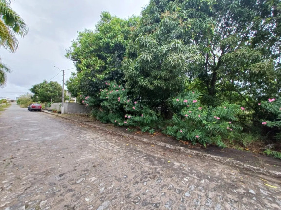 Terreno à Venda, 1.000 m² em Ipojuca - Ipojuca