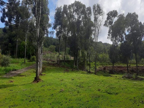 Imagem Terreno à Venda, 2 m² em Linha Imperial - Nova Petrópolis