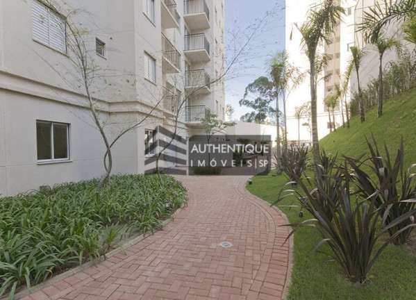 Imagem Apartamento com 3 Quartos à Venda, 63 m² em Vila Andrade - São Paulo Imagem Apartamento com 3 Quartos à Venda, 63 m² em Vila Andrade - São Paulo