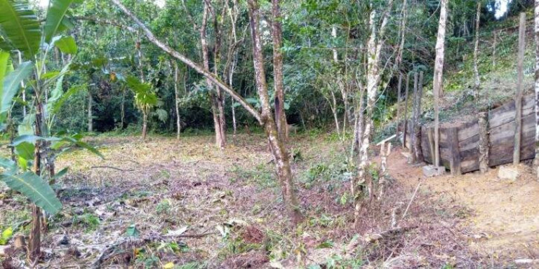 Imagem Terreno à Venda, 3.500 m² em Cambuca - Ubatuba Imagem Terreno à Venda, 3.500 m² em Cambuca - Ubatuba