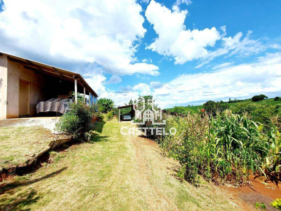 Imagem Chácara com 4 Quartos à Venda, 1.000 m² em Vila Rural Esperança - Londrina