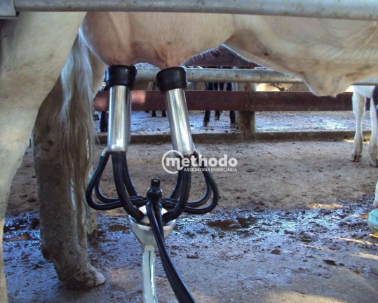 Imagem Fazenda à Venda, 11 m² em Jardim São Benedito - Alpinópolis Imagem Fazenda à Venda, 11 m² em Jardim São Benedito - Alpinópolis
