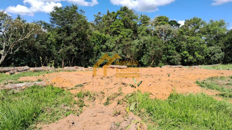 Imagem Fazenda à Venda, 314.000 m² em Vale San Fernando - Itapetininga Imagem Fazenda à Venda, 314.000 m² em Vale San Fernando - Itapetininga