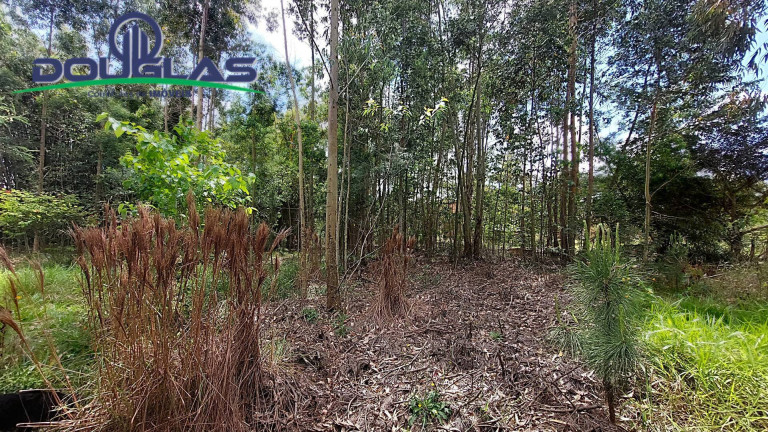 Imagem Terreno à Venda, 462 m² em águas Claras - Viamão
