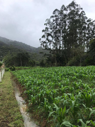 Imagem Chácara com 2 Quartos à Venda, 4.341 m² em Oliveira - Tijucas Imagem Chácara com 2 Quartos à Venda, 4.341 m² em Oliveira - Tijucas