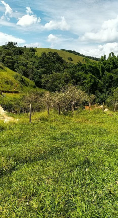 Imagem Chácara à Venda, 55.189 m² em Registro - Taubaté Imagem Chácara à Venda, 55.189 m² em Registro - Taubaté
