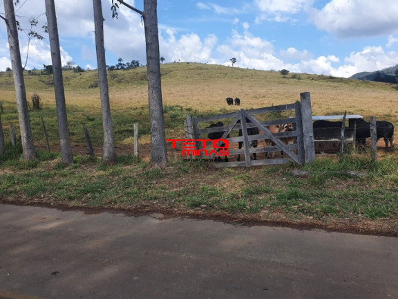 Imagem Imóvel à Venda, 360 m² em Zona Rural - Poços De Caldas Imagem Imóvel à Venda, 360 m² em Zona Rural - Poços De Caldas